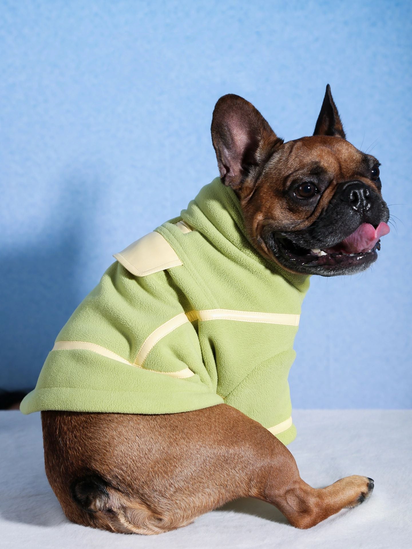 dotty lab. Autumn-Winter Color-Block Fleece Dog Jacket - Cozy Chic