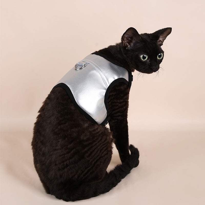 Chic & Comfortable Harnesses for Trendsetting Pups