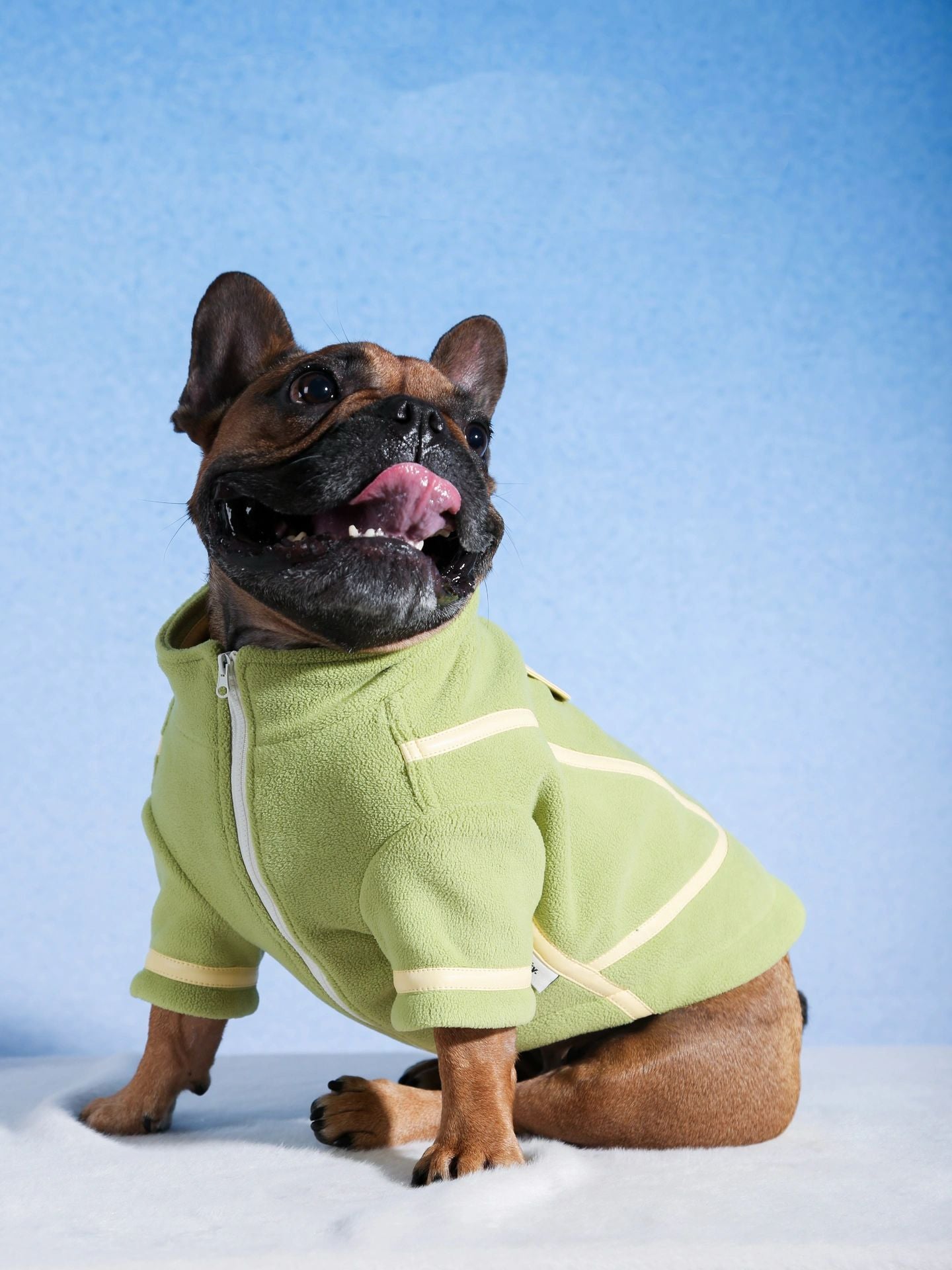 dotty lab. Autumn-Winter Color-Block Fleece Dog Jacket - Cozy Chic