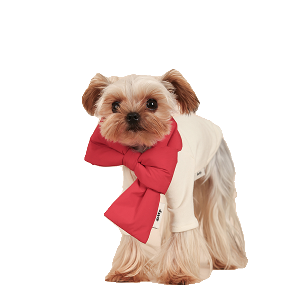 dotty lab. Festive Feline Bow Tie Scarf - Christmas & New Year Elegance