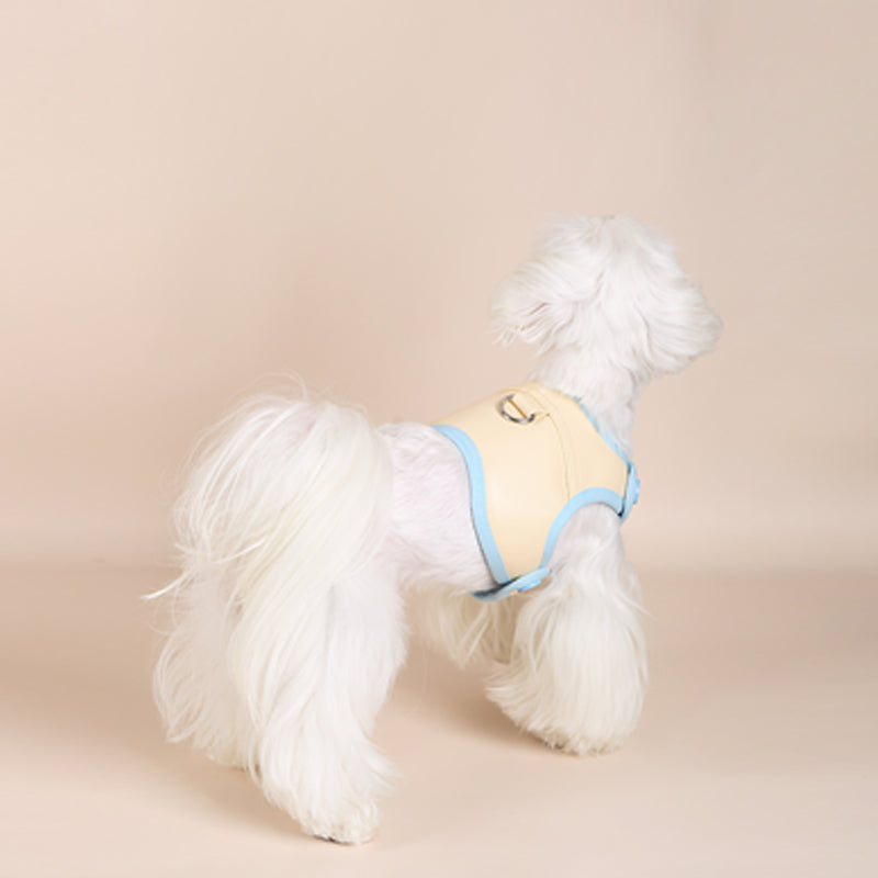 Chic & Comfortable Harnesses for Trendsetting Pups