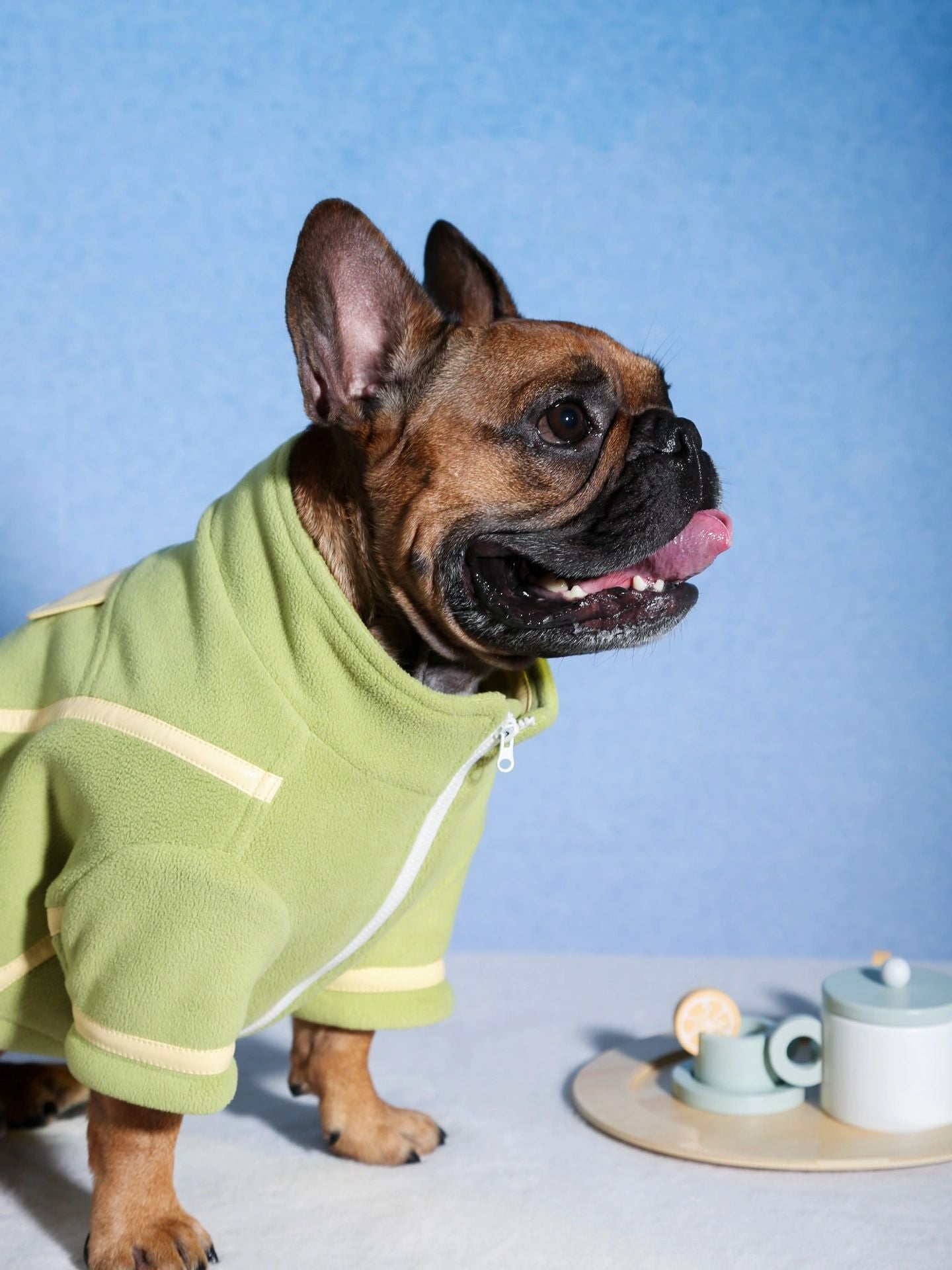 dotty lab. Autumn-Winter Color-Block Fleece Dog Jacket - Cozy Chic