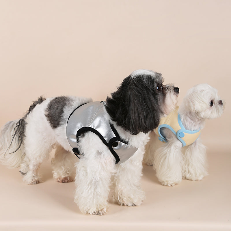 Chic & Comfortable Harnesses for Trendsetting Pups