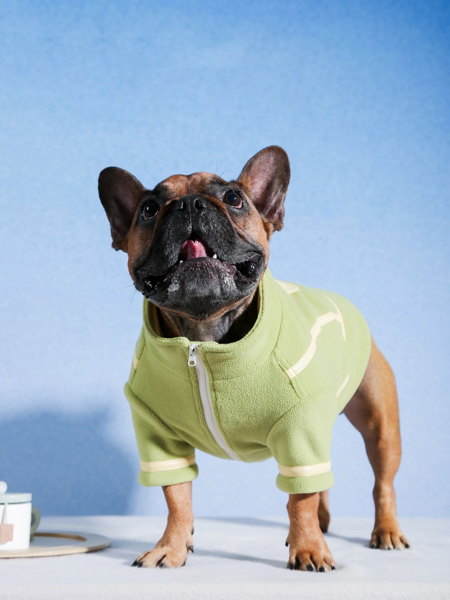 dotty lab. Autumn-Winter Color-Block Fleece Dog Jacket - Cozy Chic
