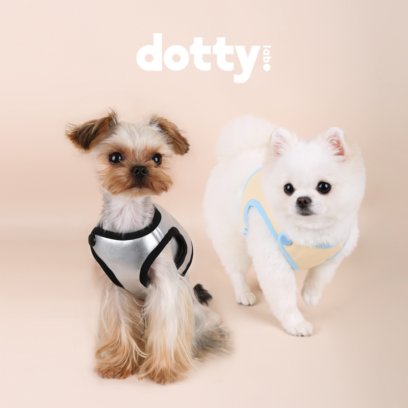 Chic & Comfortable Harnesses for Trendsetting Pups