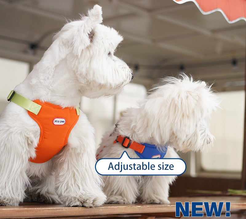 Dog Outdoor Adjustable Vest Leash + Chest Harness set