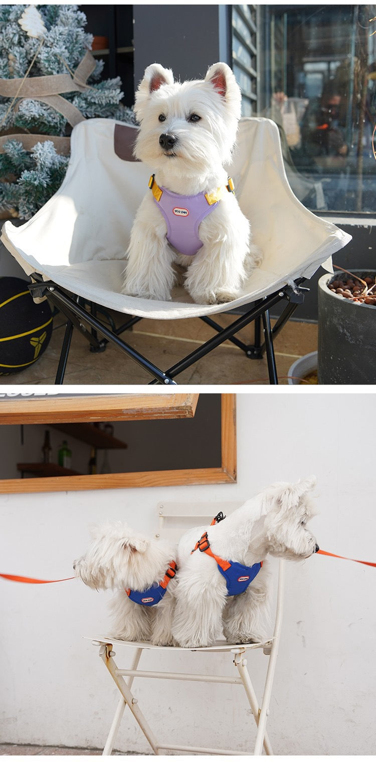 Dog Outdoor Adjustable Vest Leash + Chest Harness set
