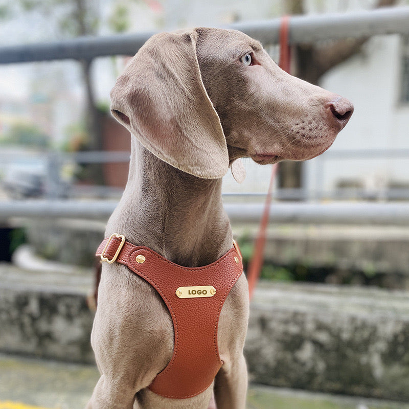 Soft Leather Pet Harness Set for Dog