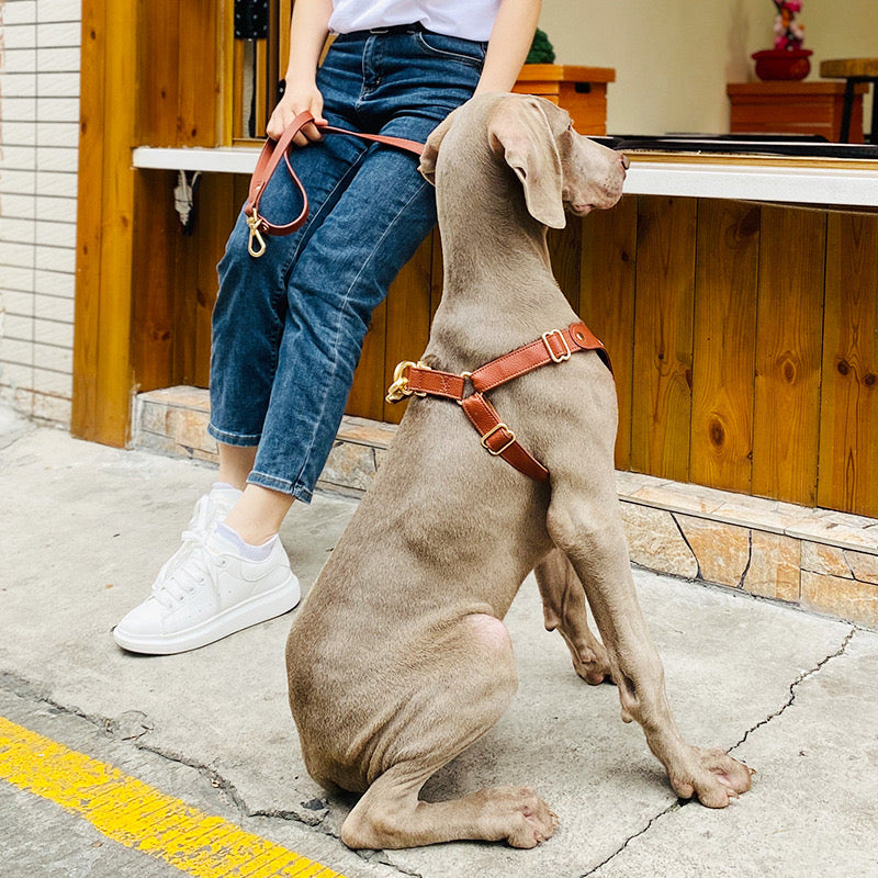 Soft Leather Pet Harness Set for Dog