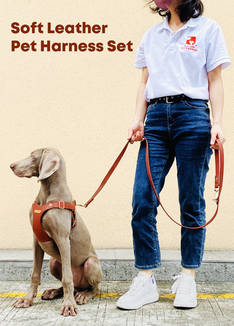 Soft Leather Pet Harness Set for Dog