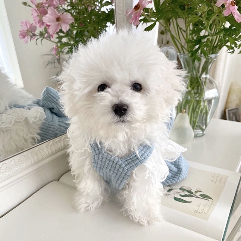 Soft and Cute Pet Princess Dress