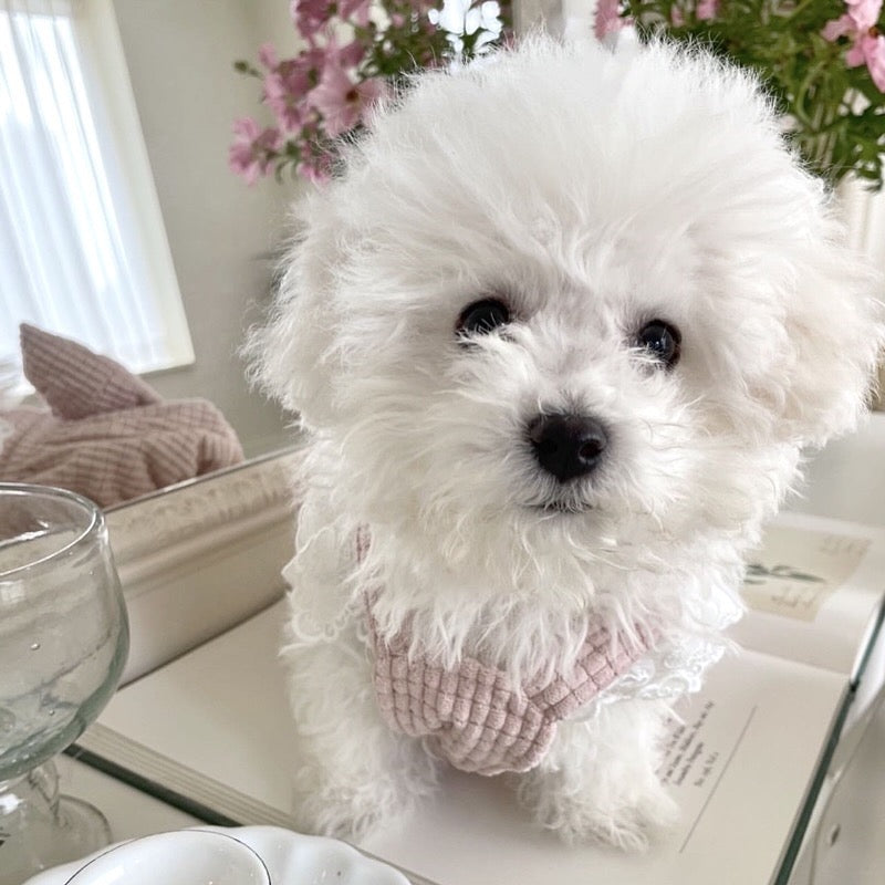 Soft and Cute Pet Princess Dress