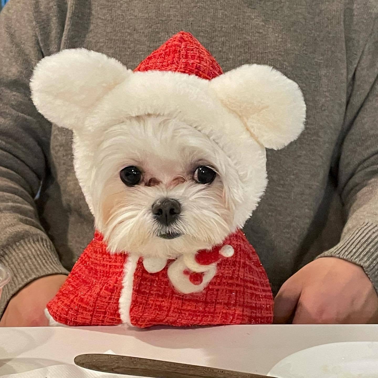 Pet Christmas Plush Ears Hooded Poncho Cape