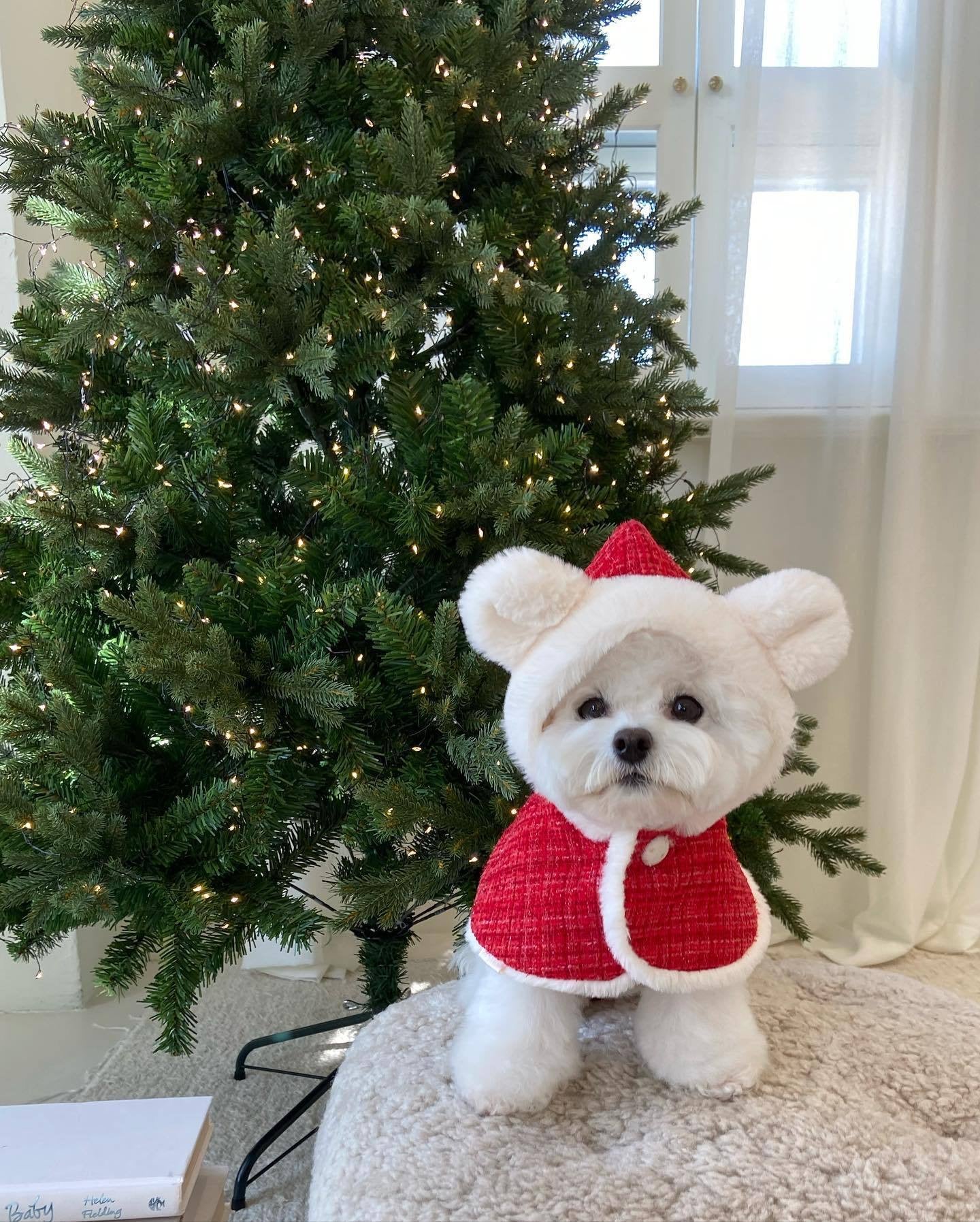 Pet Christmas Plush Ears Hooded Poncho Cape