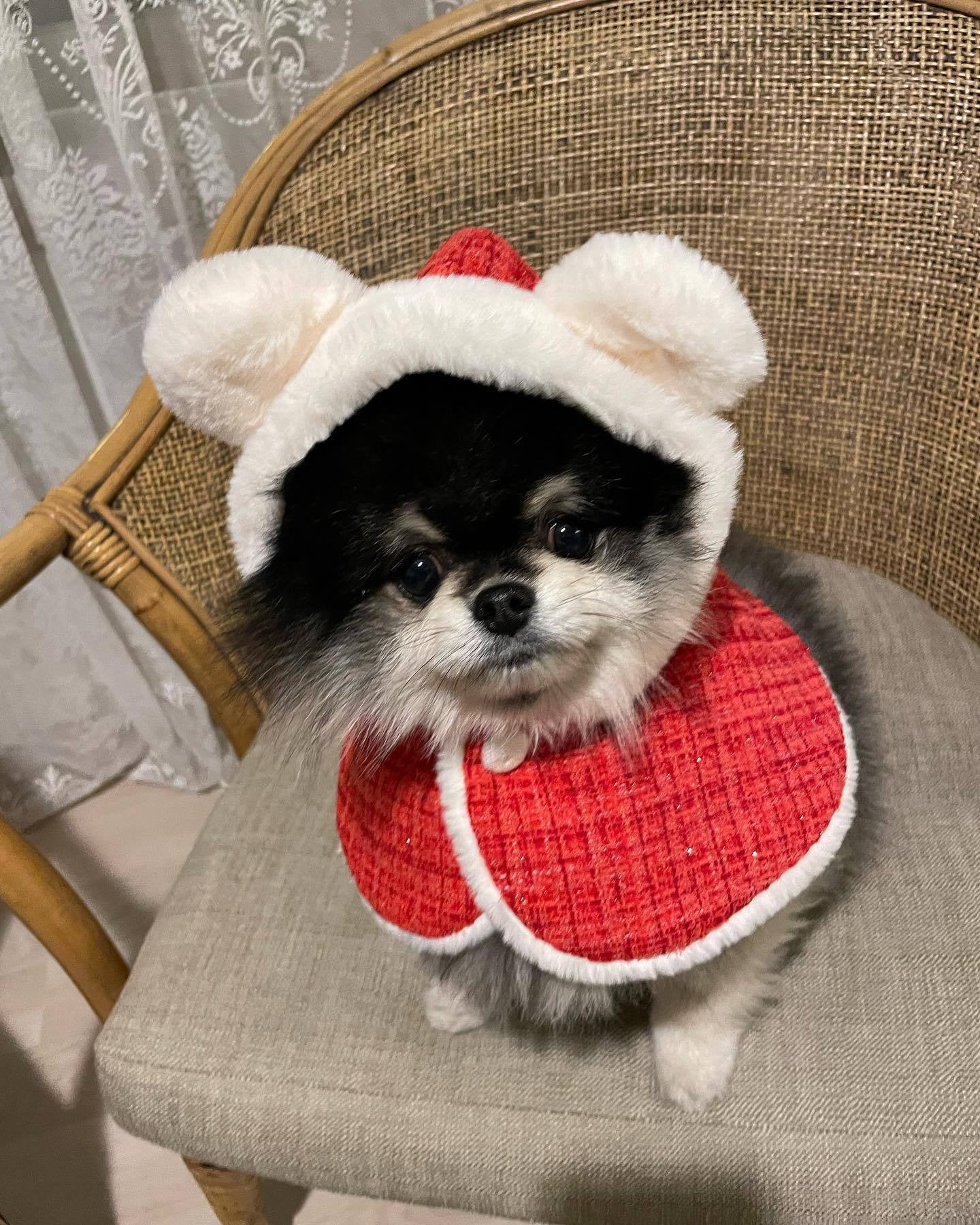 Pet Christmas Plush Ears Hooded Poncho Cape