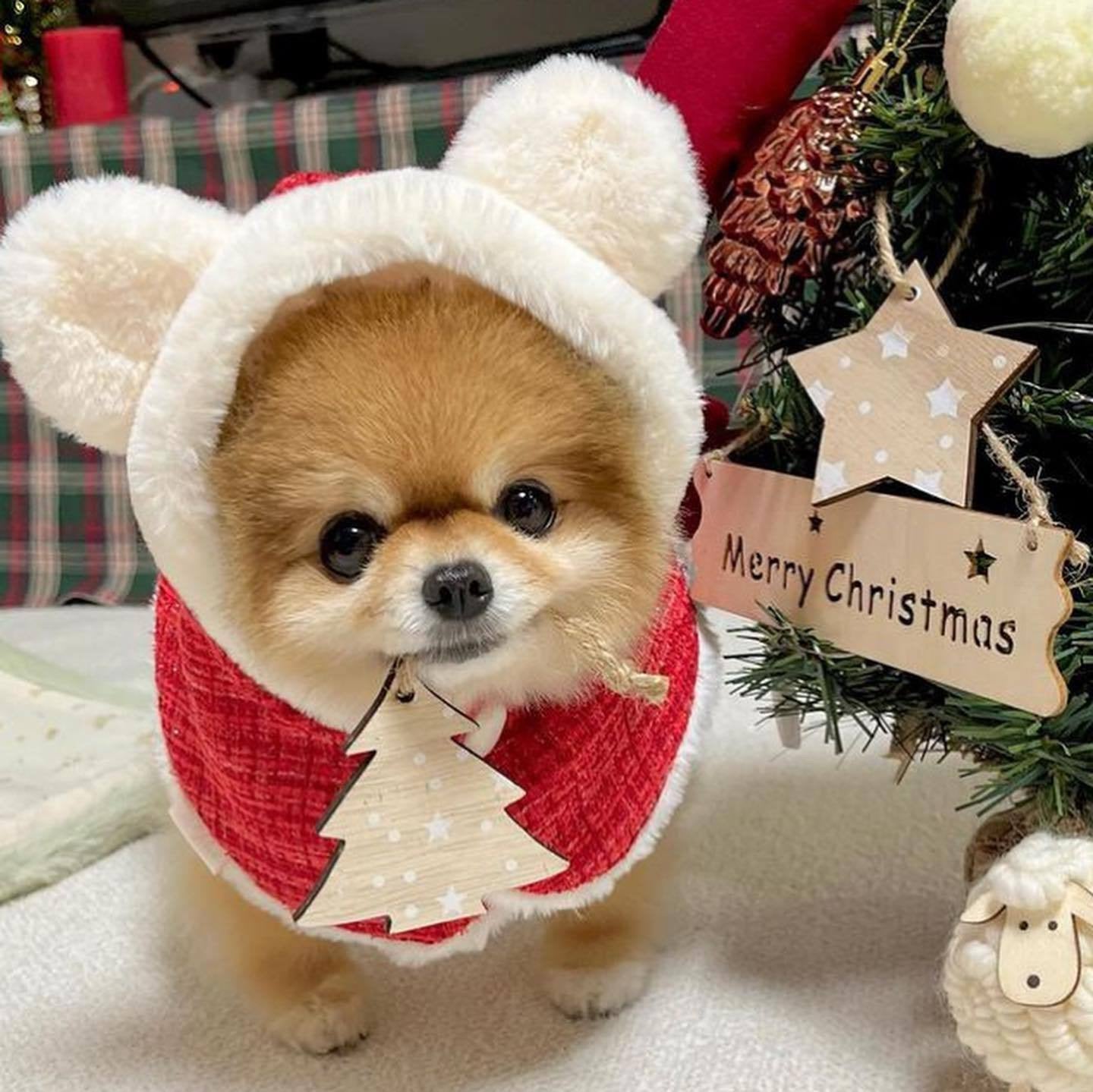 Pet Christmas Plush Ears Hooded Poncho Cape