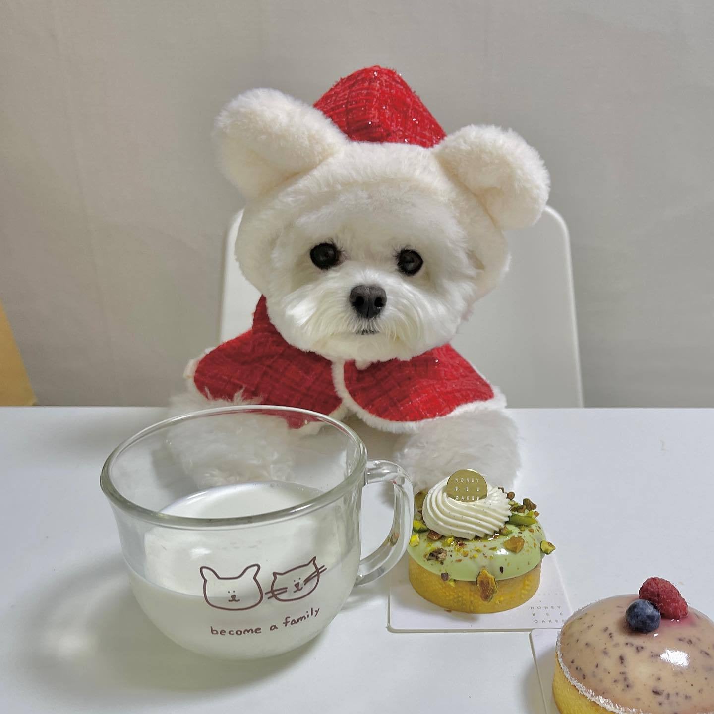 Pet Christmas Plush Ears Hooded Poncho Cape