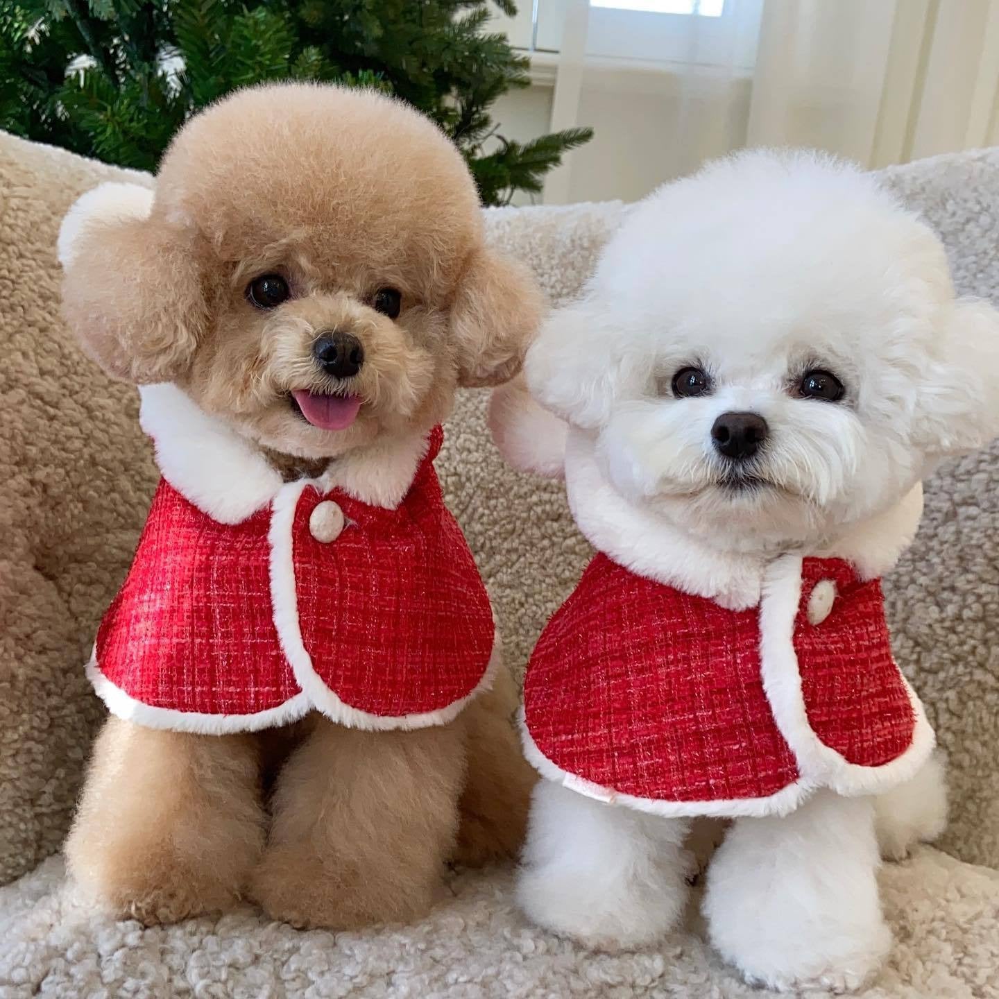Pet Christmas Plush Ears Hooded Poncho Cape