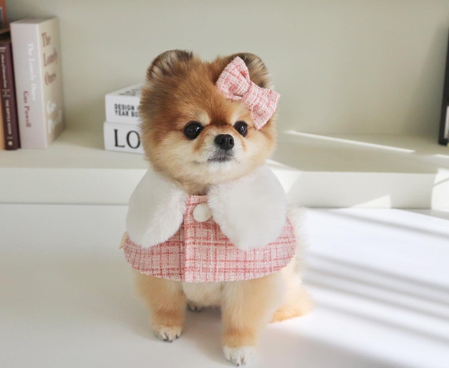 Pink Chambray Pet Poncho set(Cloak + Hat + Hair Clip)