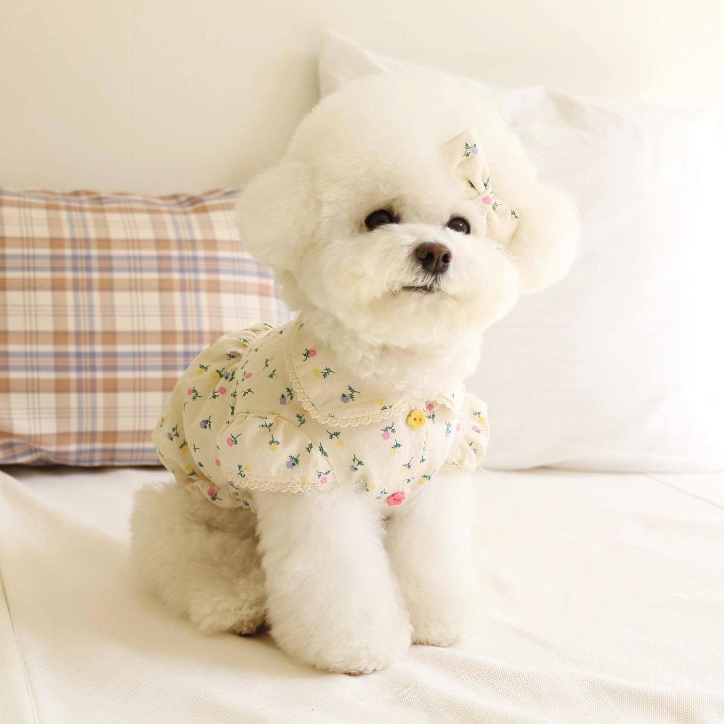 Springtime Blossoms: Adorable Floral Pet Dress for Stylish Pups