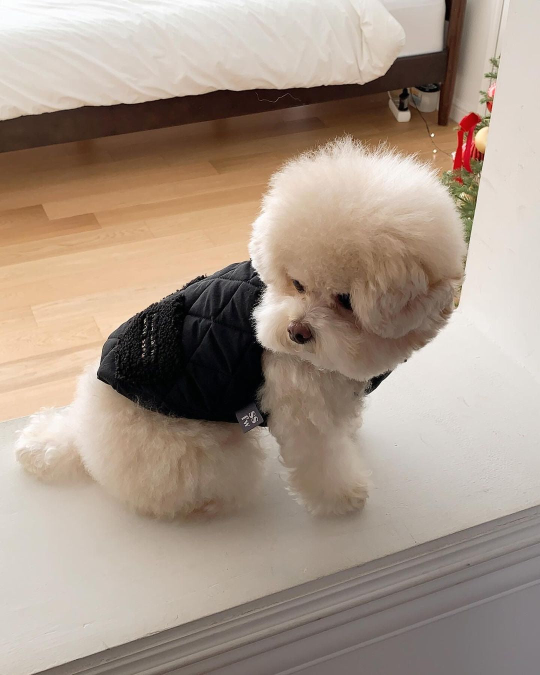 Winter Super Warm Pet Padded Vest-Chic Pup Winter Jacket – Fashion Meets Comfort