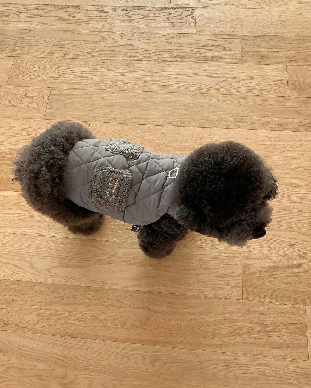 Winter Super Warm Pet Padded Vest-Chic Pup Winter Jacket – Fashion Meets Comfort