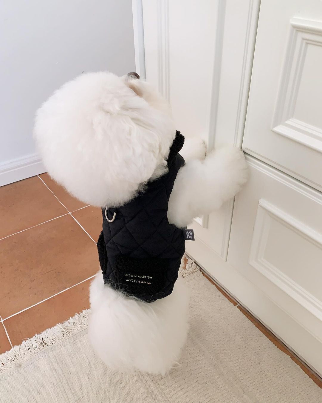 Winter Super Warm Pet Padded Vest-Chic Pup Winter Jacket – Fashion Meets Comfort