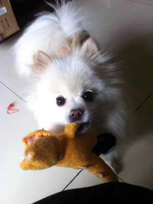Pet Impressions: Handcrafted Wool Felt Custom Pet Figurines Pet Ornaments