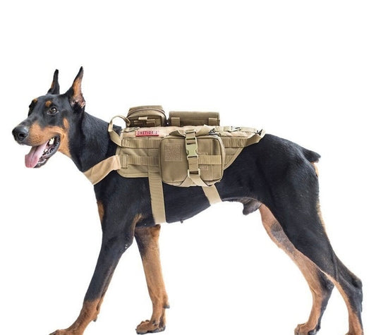 Tactical Canine Vest – The Adventure Companion for Your Dog
