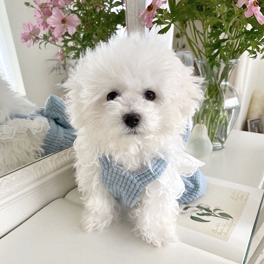 Soft and Cute Pet Princess Dress