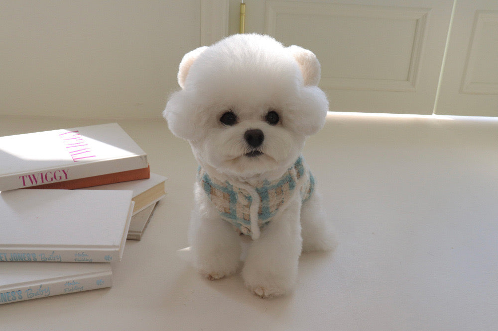Blue and White Checkered Thickened Dog Plush Coat