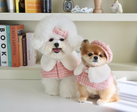 Pink Chambray Pet Poncho set（Cloak + Hat + Hair Clip）