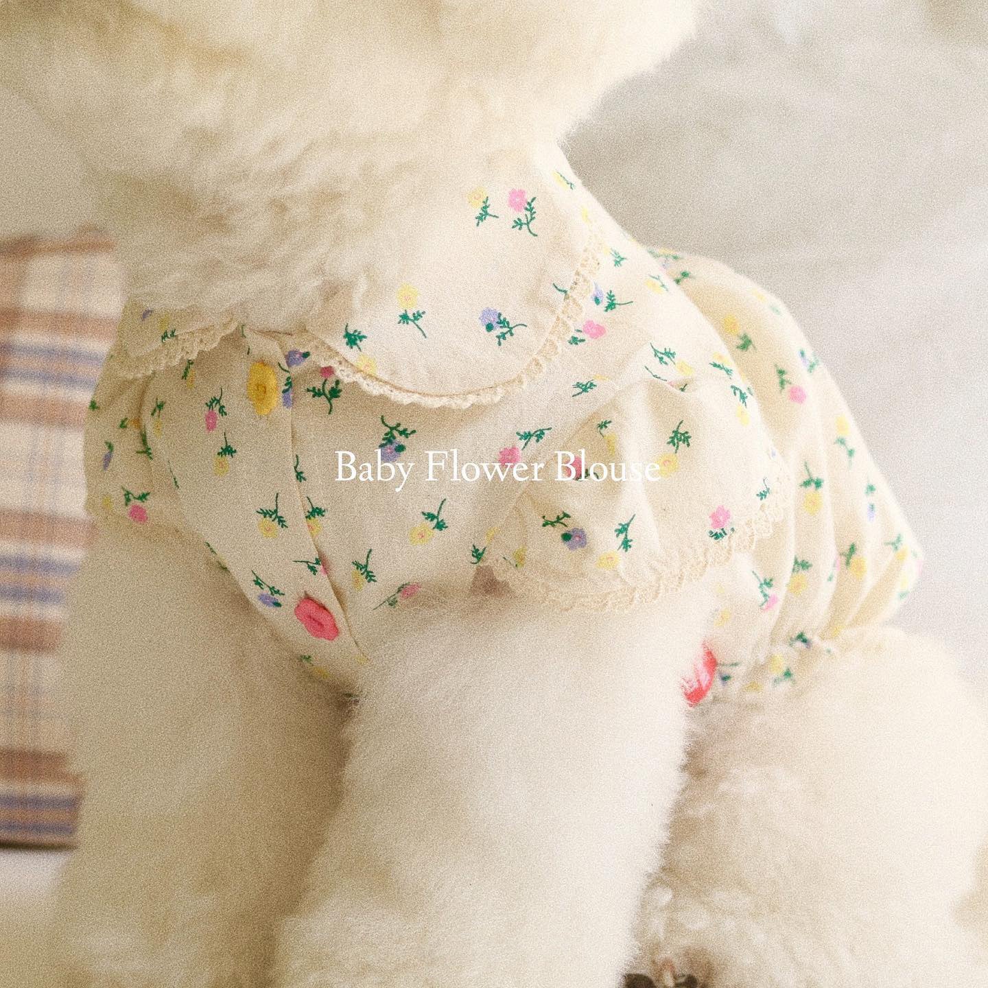 Springtime Blossoms: Adorable Floral Pet Dress for Stylish Pups